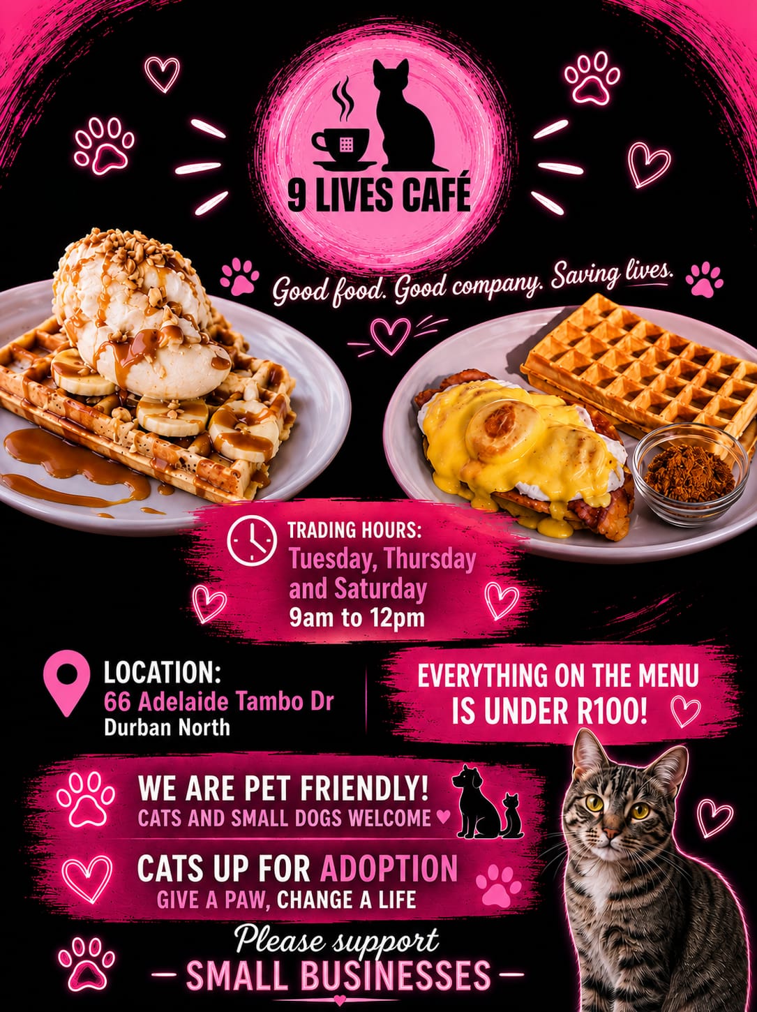 9 Lives Café photo 76